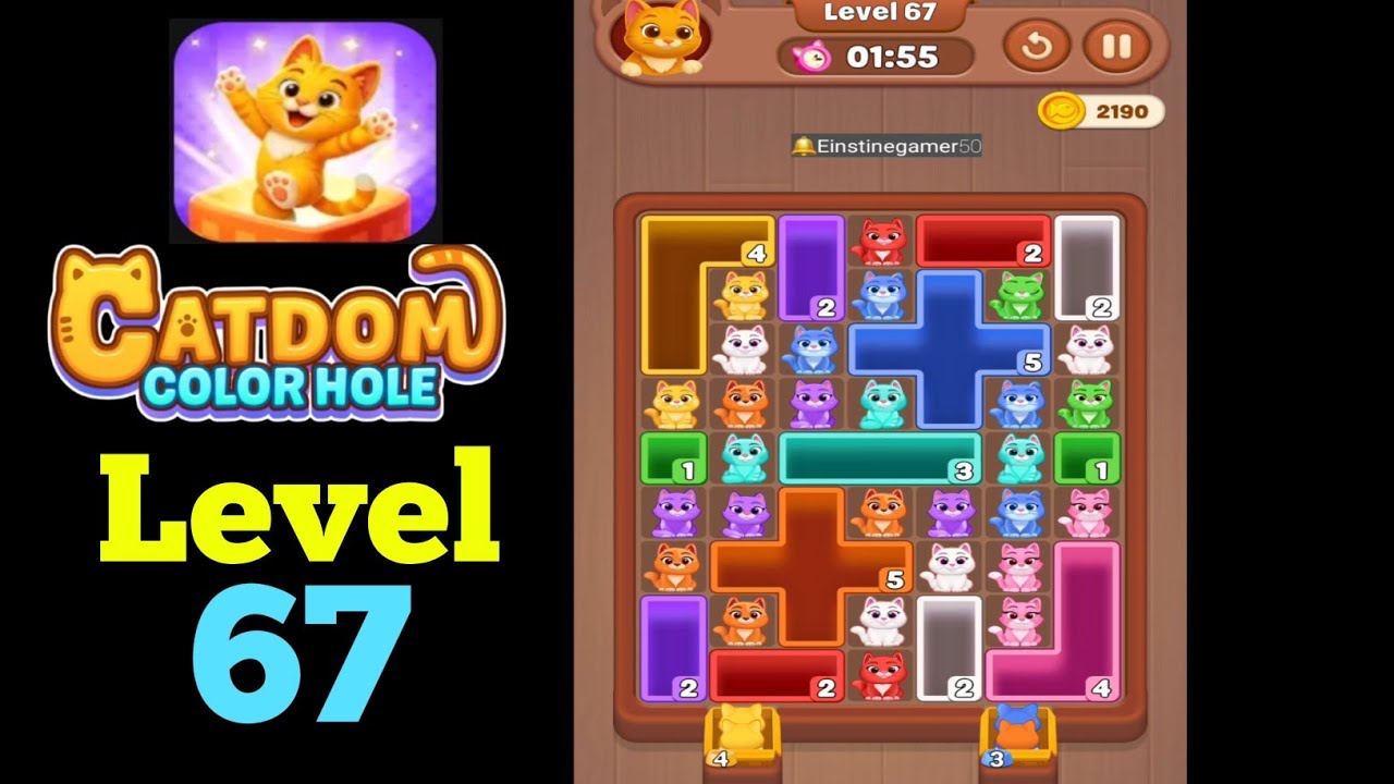 Catdom Color hole level 67 Walkthrough Solution - YouTube