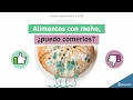 Alimentos con moho, ¿se pueden comer?