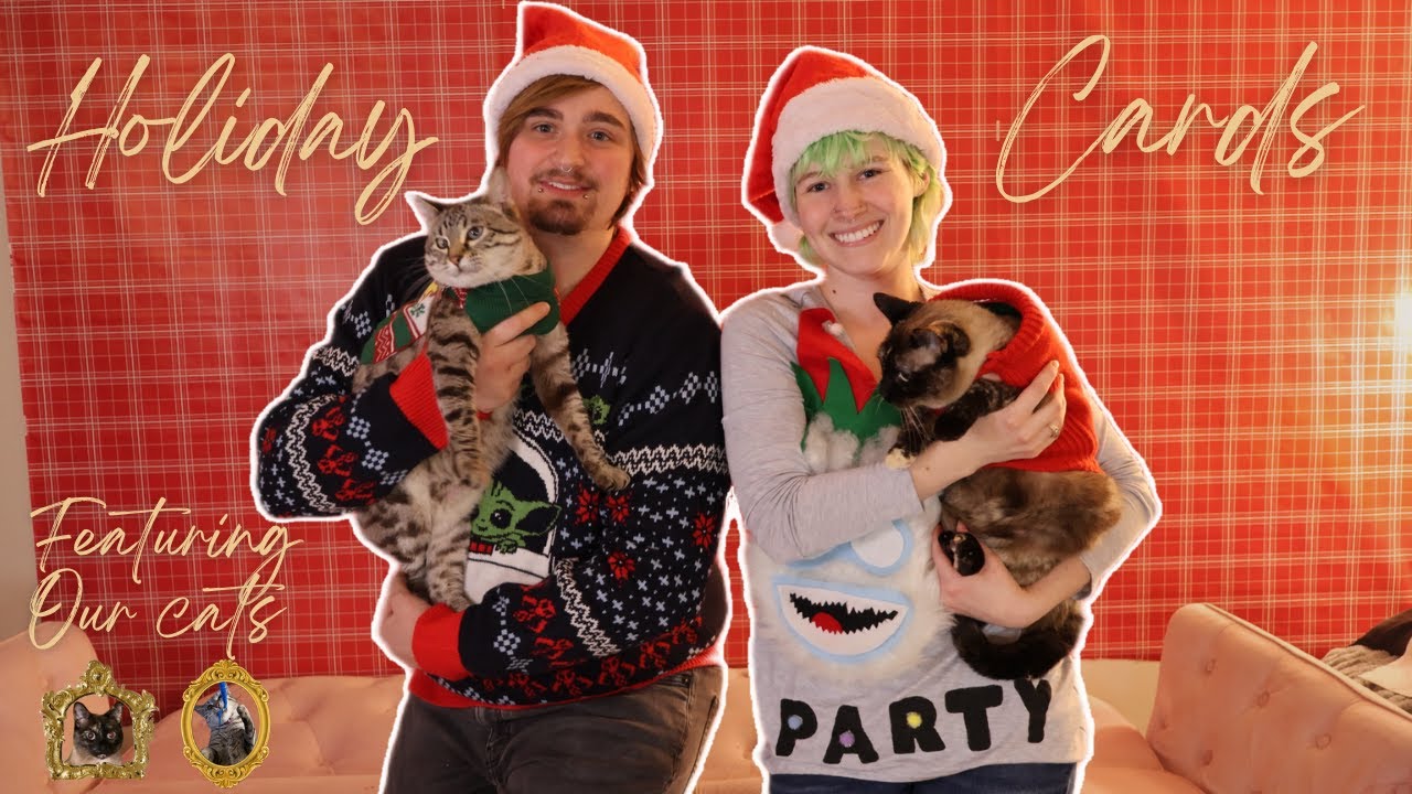 Forcing Our Cats to be Festive with Us