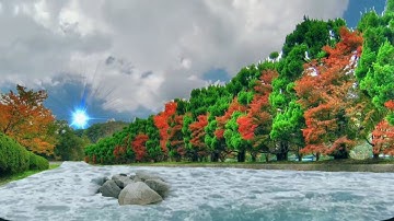 Kinemaster vfx editing tutorials in Android mobile