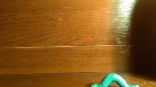 INCHWORM PART 2]24 fps test