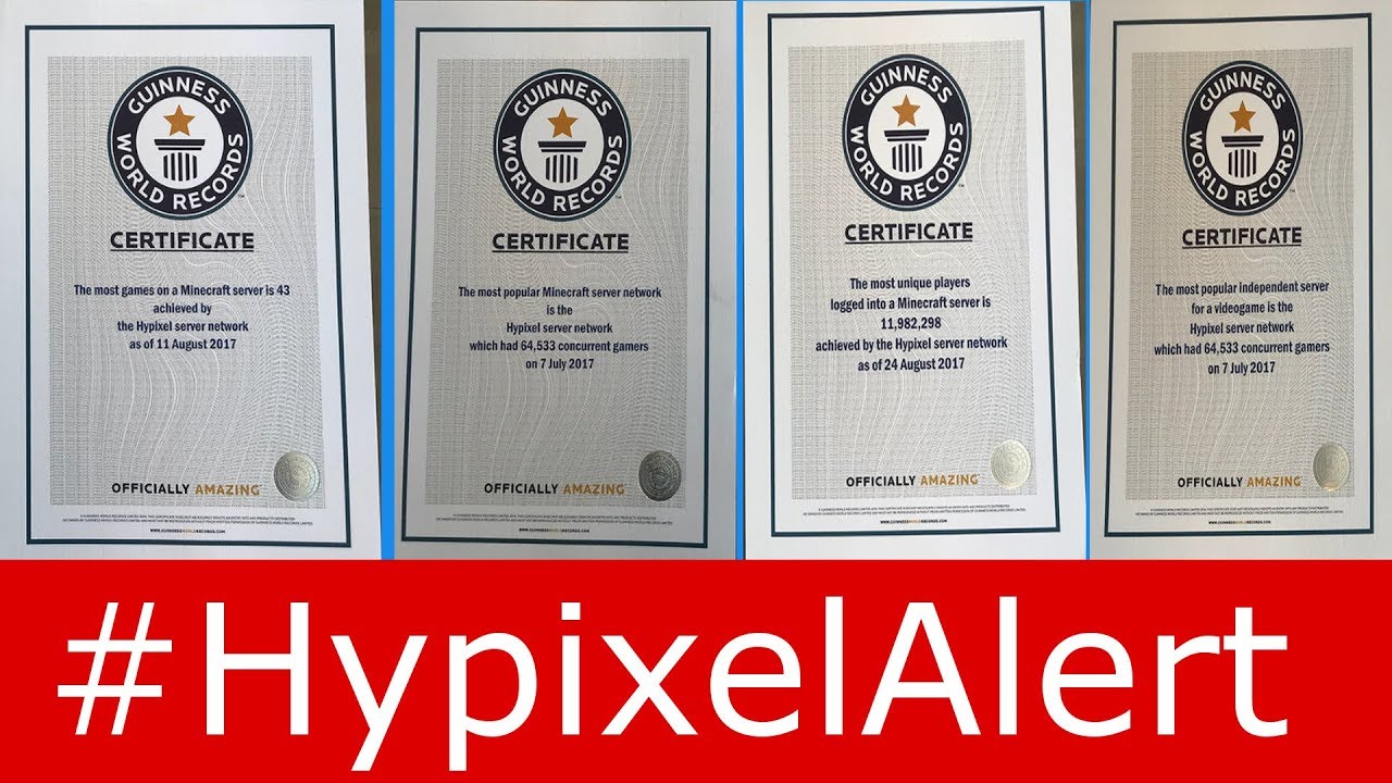Hypixel Guinness World Record 3