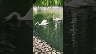 Нежная любовь #любовь #природа #love #музыка #песня #паркотельвладикавказ #алания #trevel #отдых