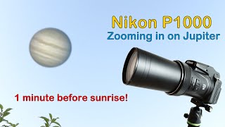 Nikon P1000 - Zooming in on Jupiter - 1 minute before sunrise! Jupiter 2023 super zoom test