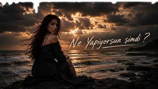 Ne yapıyorsun şimdi?