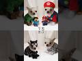 WHAT ONE IS YOUR FAVOURITE!? 🤩 - #dog #cute #couple #funny #dance #trend #viral #halloween #shorts