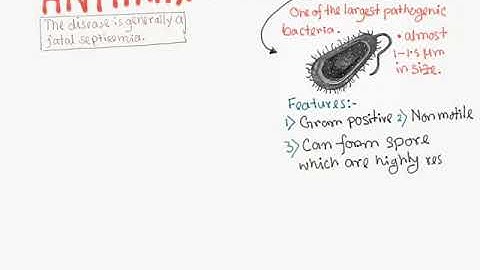 Anthrax l Microbiology flash cards (CSIR NET /GATE IIT /JAM JNU /CEEB BHU)