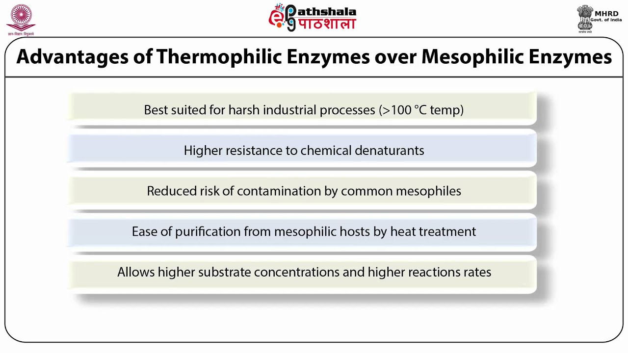 Engineering thermostable and cryostable Enzyme and Site directed mutagenesis