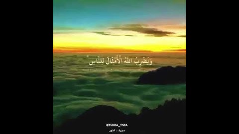 تلاوة رائعة جدا | الله نور السموات والارض