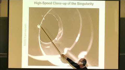Prof. Raymond Goldstein | Boundary Singularities Produced by the Motion of Soap Films