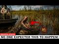 Florida Released Something That Kills Pythons from the Inside, but No One Saw This Coming.