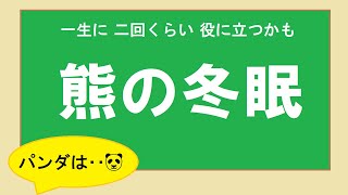 熊の冬眠 ホッキョクグマは パンダは 一生に二回くらい役に立つかも Youtube