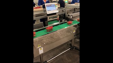 C Series Checkweigher - Strawberries