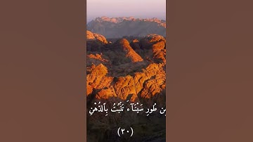 سورة المؤمنون- ايه ٢٠