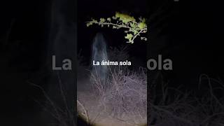 Relatos Paranormales: La ánima sola #paranormal #leyendas #terrorymisterio #fantasmas