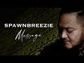 Spawnbreezie - Never Love Again 🎶 Official Audio