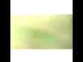 يوم جا أرد علا اليمن