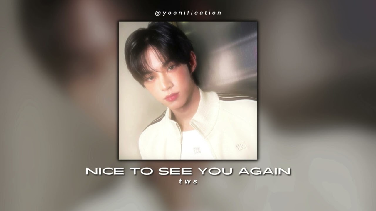 tws - nice to meet you again (sped up)