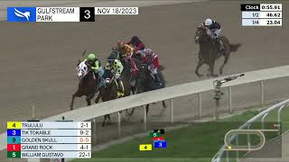 Vidéo de la course PMU CLAIMING