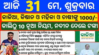Odisha News | 31 May 2024 | Today Morning news | kalia yojana money | Upstox app earn money offer