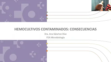 ¿Cuál es la causa más frecuente de contaminación de los hemocultivos?