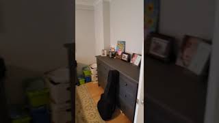 201 east 36th #6C