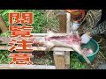 【閲覧注意】イノシシの止め刺しから害獣駆除届け出までの流れ【狩猟】