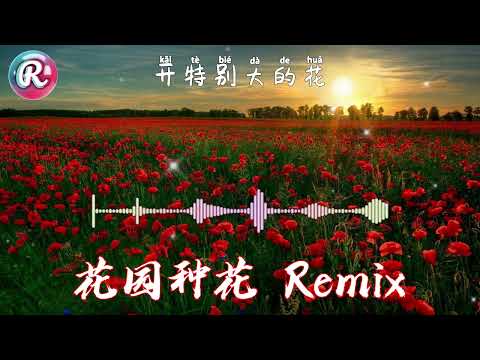 花园种花【DJ REMIX】「在小小的花园里面 挖呀挖呀挖」DJ舞曲 | 慢摇 | 4K 歌词MV