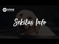 Jason Ranti - Sekilas Info (Unofficial Lyric)