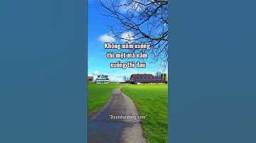 Những bài học cay đắng về tiền bạc #shorts #doanducdong