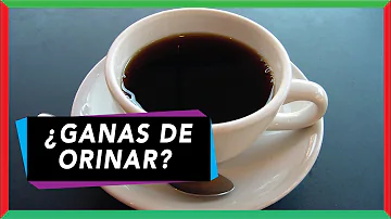 ¿La cafeína hace pis?