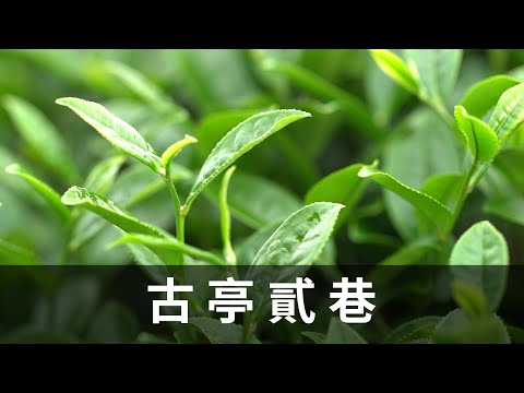 古亭貳巷•台灣新視野•磐石影像