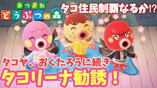 あつ森】タコリーナ勧誘！念願のタコ住民制覇なるか【あつまれどうぶつ