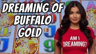 Am I Dreaming Or Is This Real Buffalo Gold Slot #2025 #4k