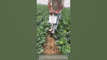 Essential Tools for Fertilizing & Sowing! Boost Your Gardening Success #gardeningtools #plants