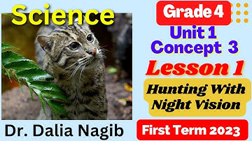 Science Grade 4 Hunting With Night Vision | Concept 3 Lesson 1 | ساينس رابعة ابتدائي المنهج الجديد