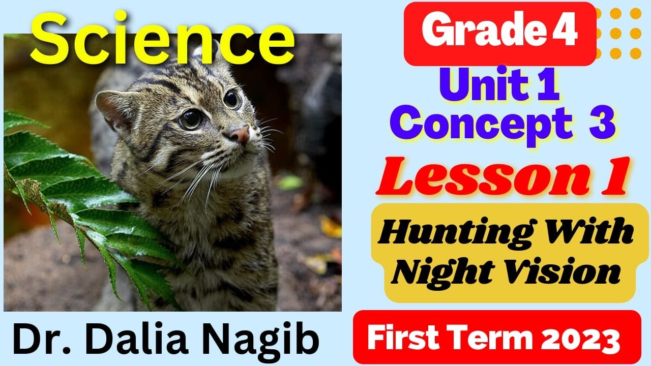 Science Grade 4 Hunting With Night Vision | Concept 3 Lesson 1 | ساينس رابعة ابتدائي المنهج الجديد