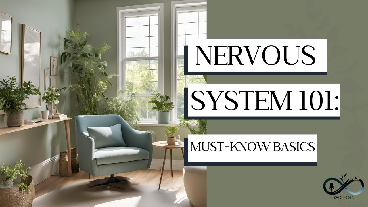 Understanding Your Nervous System | A Complete Guide for Beginners