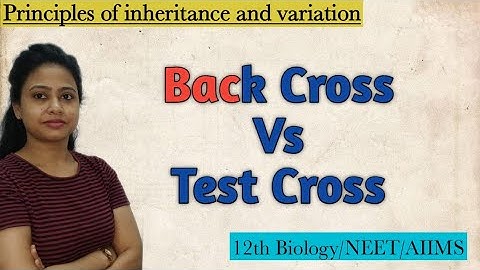 Back Cross Vs Test Cross | Genetics | Principles of Inheritance and Variation |Class 12 Biology/NEET