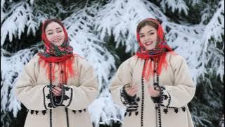 O ce bucurie mare - Formatia Rezident Suceava ( Cover Anuța Iuga )