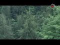 aau nira gadwali song Whatsapp Status Video Download Free