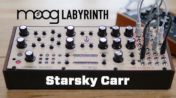 Moog Labyrinth // 3 Minute Manual + Full Review & Demo