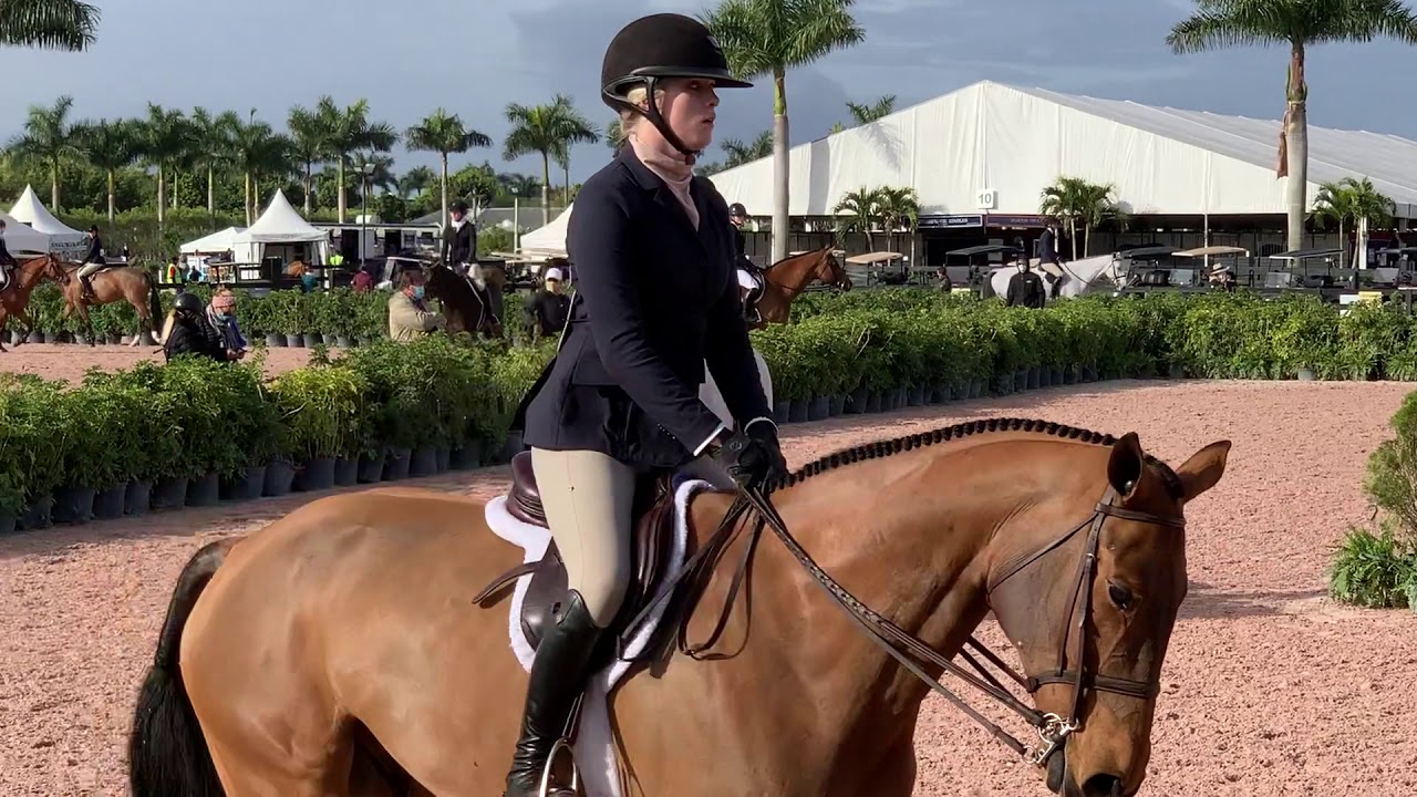 South Florida Hunter Jumper Flat Phase 1/17/2021