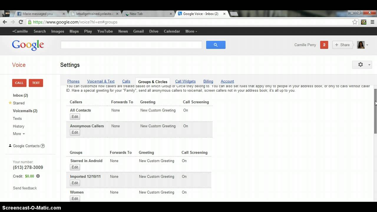 How to use Google Voice By Camille Perry