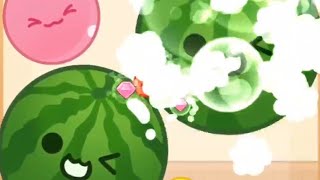 2 Watermelon Pop! Satisfying ASMR Fruit Drop Merge Melon Game #games #asmr #puzzlegame #mobilegame  screenshot 3