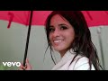 Camila Cabello - Liar (Music Video)