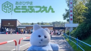 旭山動物園いったよ screenshot 4