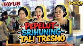 Download lagu CAMPURSARI TAYUB | PEPELUT - SRIHUNING - TALI TRESNO - PODANG KUNING | NEW ERVITA CAMPURSARI TAYUB