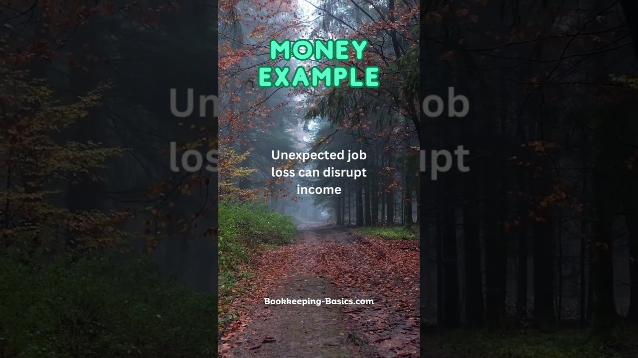 Why You Need a Financial Buffer Now! | Unexpected Job Loss? Be Prepared | @bookkeepingbasics4U