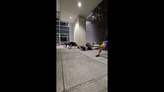 #f3 #upperbody Workout - The Corridor